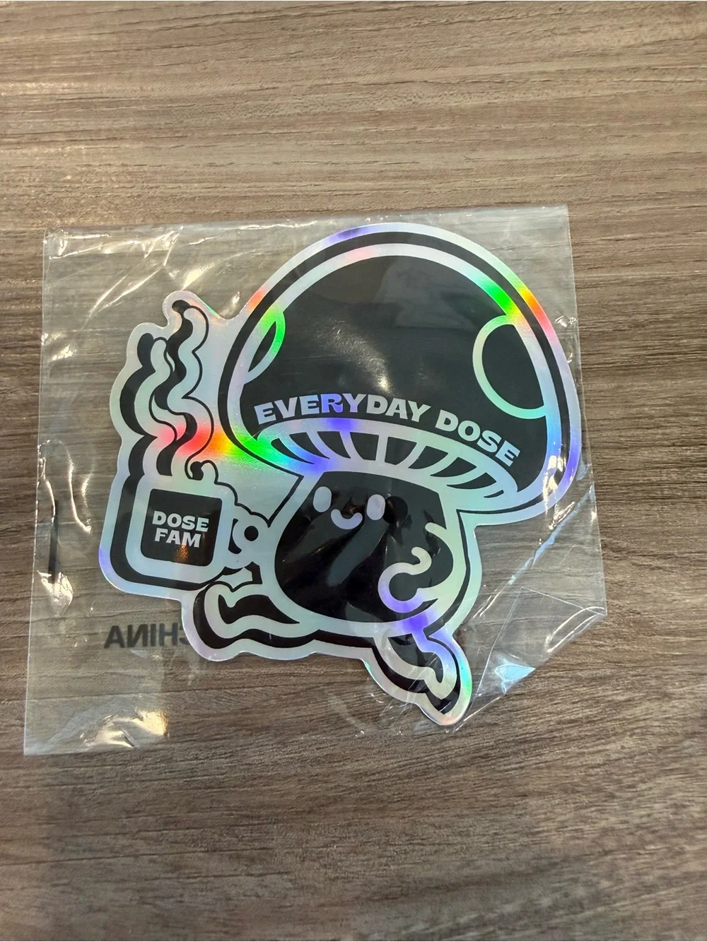 Everyday Dose Holographic Window Sticker & Magnet Set - Rainbow Shine